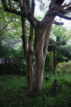 Kamakura